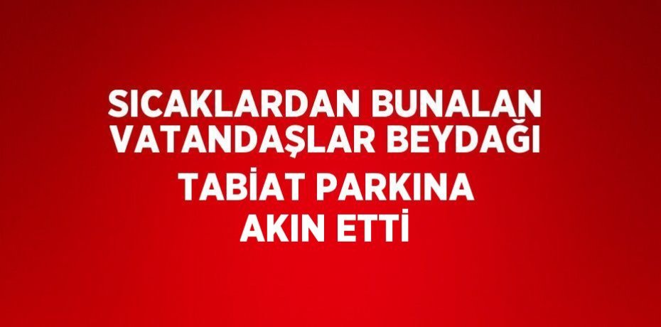 SICAKLARDAN BUNALAN VATANDAŞLAR BEYDAĞI TABİAT PARKINA AKIN ETTİ