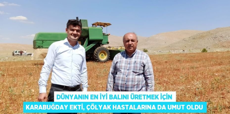 Dünyanın en iyi balını üretmek için karabuğday ekti, çölyak hastalarına da umut oldu