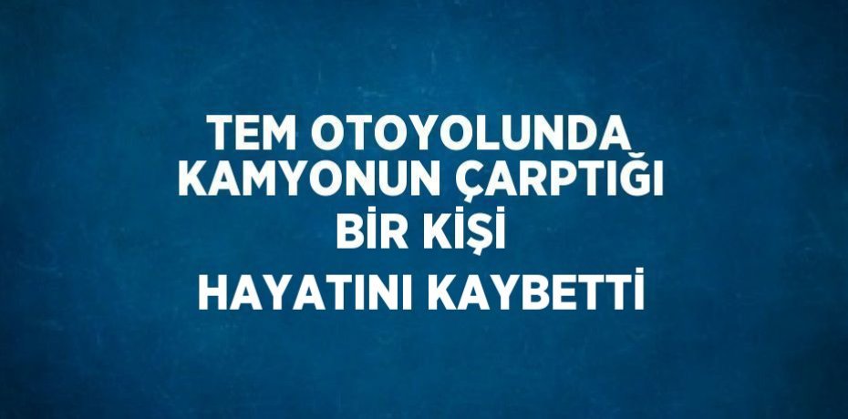 TEM OTOYOLUNDA KAMYONUN ÇARPTIĞI BİR KİŞİ HAYATINI KAYBETTİ