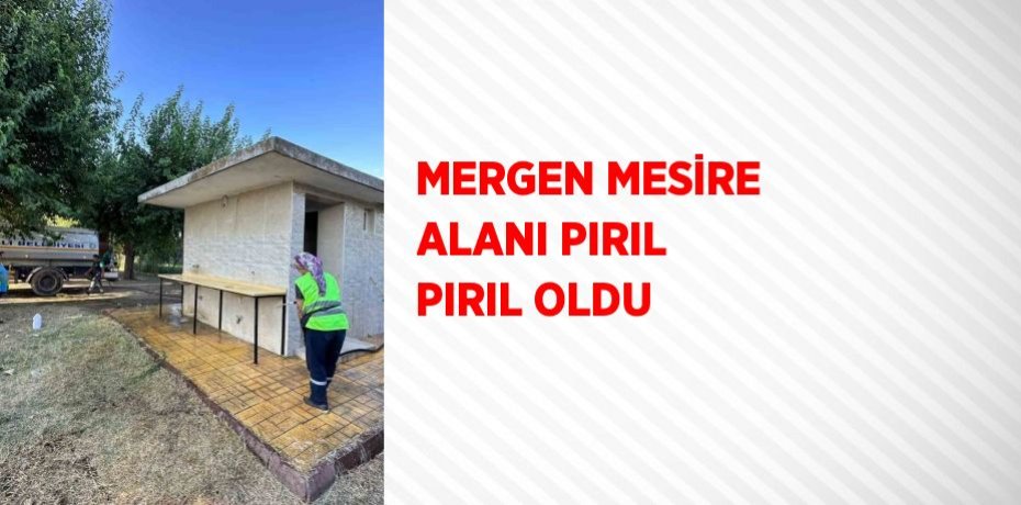 MERGEN MESİRE ALANI PIRIL PIRIL OLDU