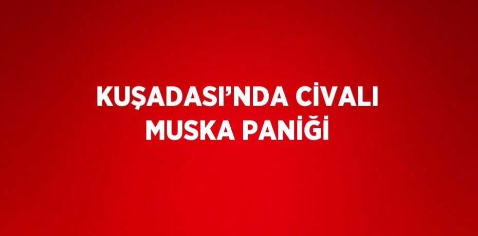 KUŞADASI’NDA CİVALI MUSKA PANİĞİ
