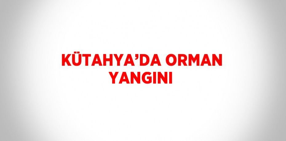KÜTAHYA’DA ORMAN YANGINI