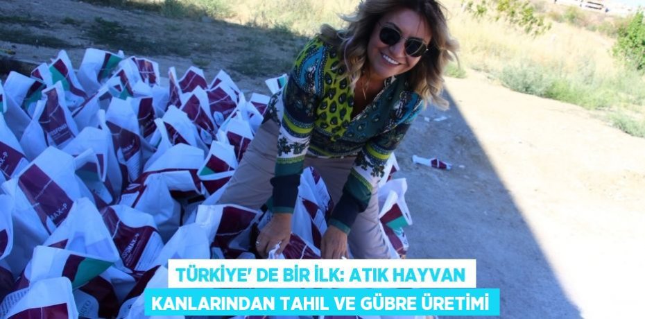 Türkiye’ de bir ilk: Atık hayvan kanlarından tahıl ve gübre üretimi