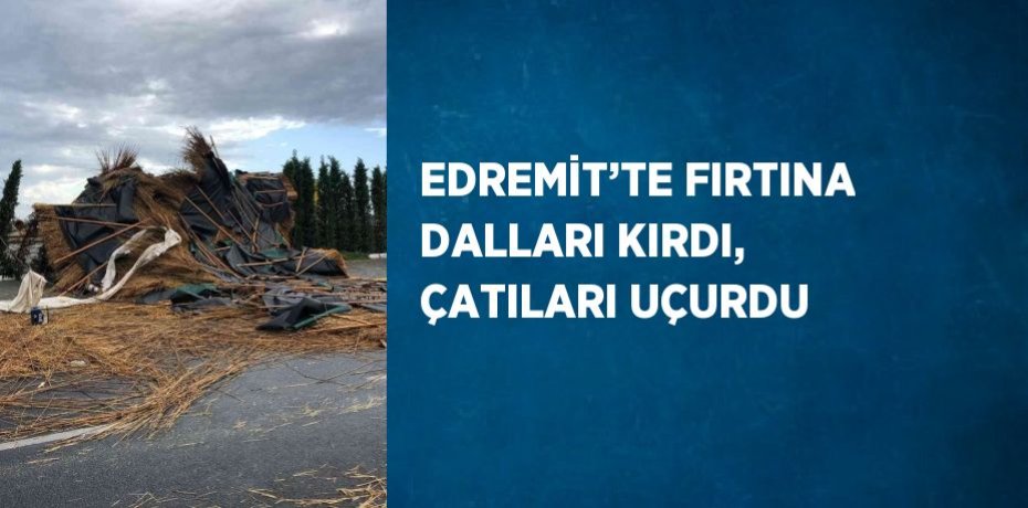EDREMİT’TE FIRTINA DALLARI KIRDI, ÇATILARI UÇURDU