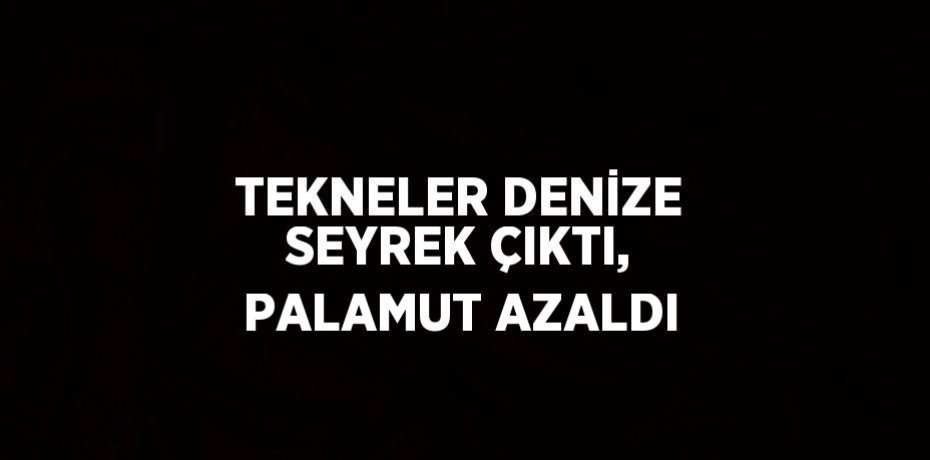 TEKNELER DENİZE SEYREK ÇIKTI, PALAMUT AZALDI