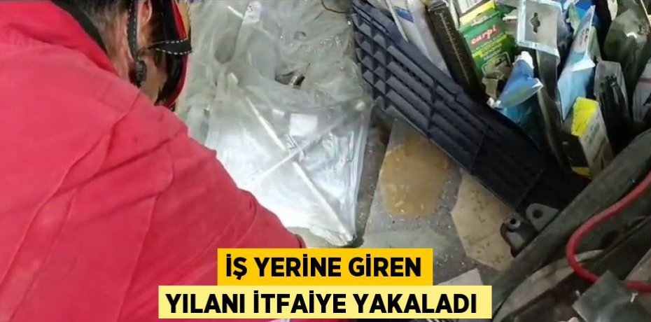 İŞ YERİNE GİREN YILANI İTFAİYE YAKALADI