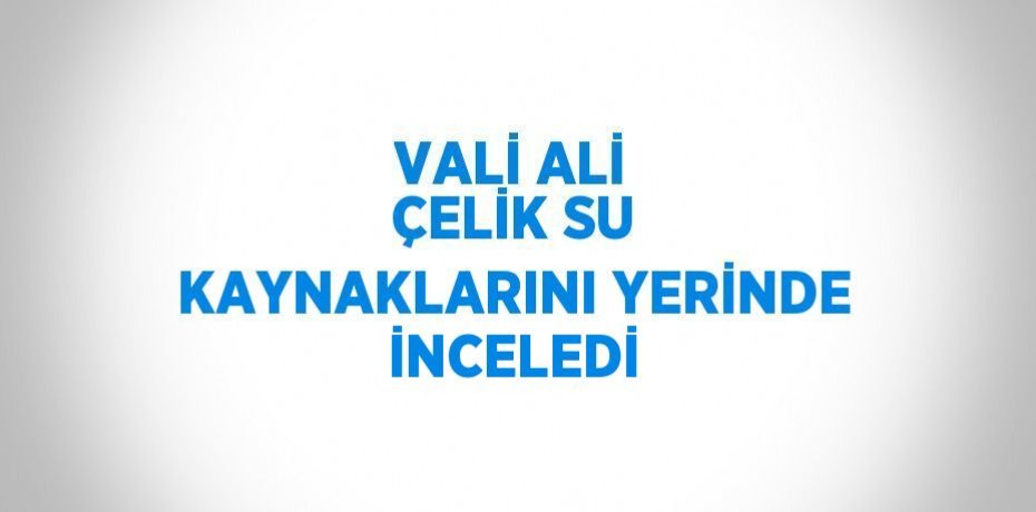 VALİ ALİ ÇELİK SU KAYNAKLARINI YERİNDE İNCELEDİ