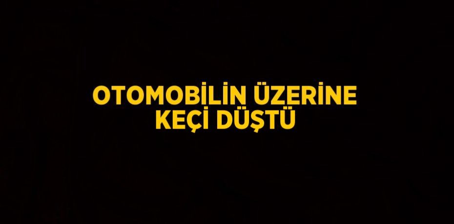 OTOMOBİLİN ÜZERİNE KEÇİ DÜŞTÜ