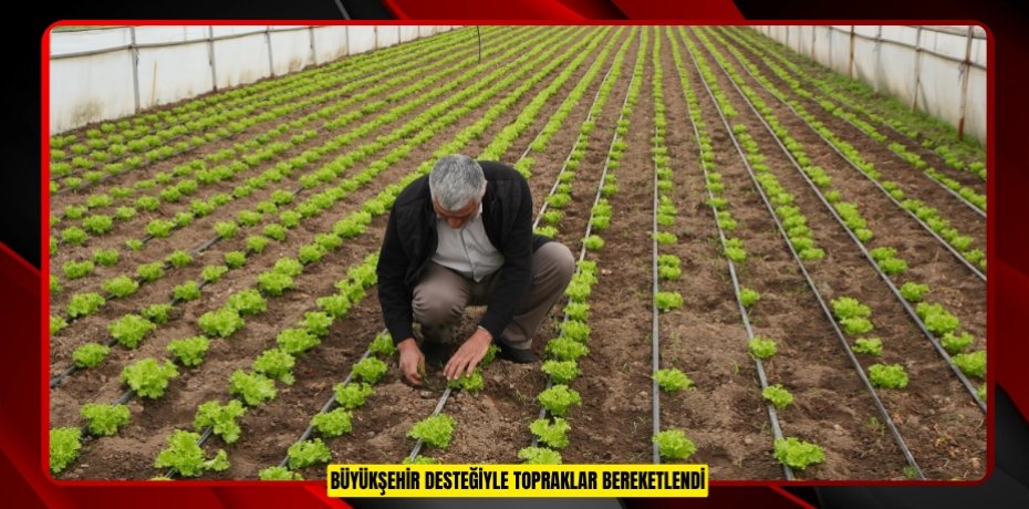 BÜYÜKŞEHİR DESTEĞİYLE TOPRAKLAR BEREKETLENDİ