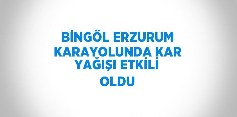 BİNGÖL ERZURUM KARAYOLUNDA KAR YAĞIŞI ETKİLİ OLDU