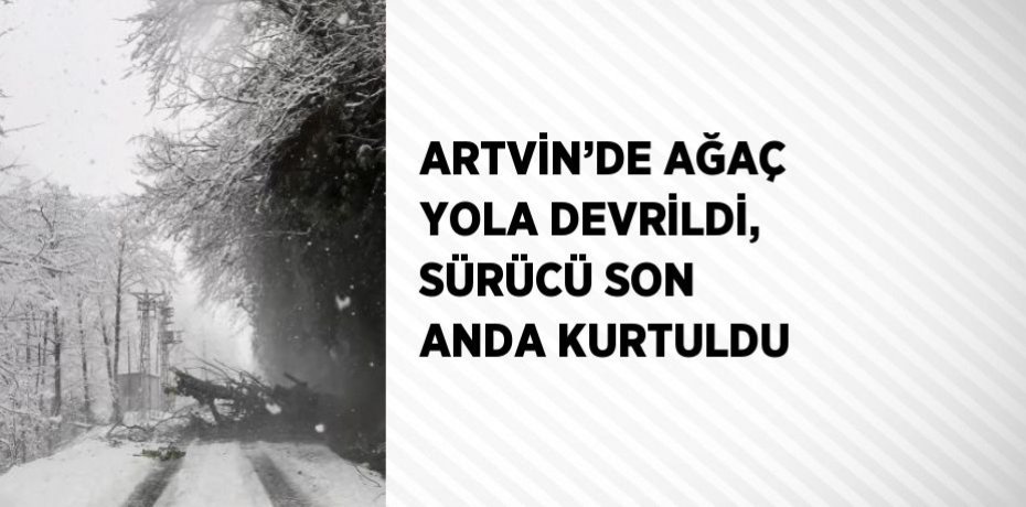 ARTVİN’DE AĞAÇ YOLA DEVRİLDİ, SÜRÜCÜ SON ANDA KURTULDU