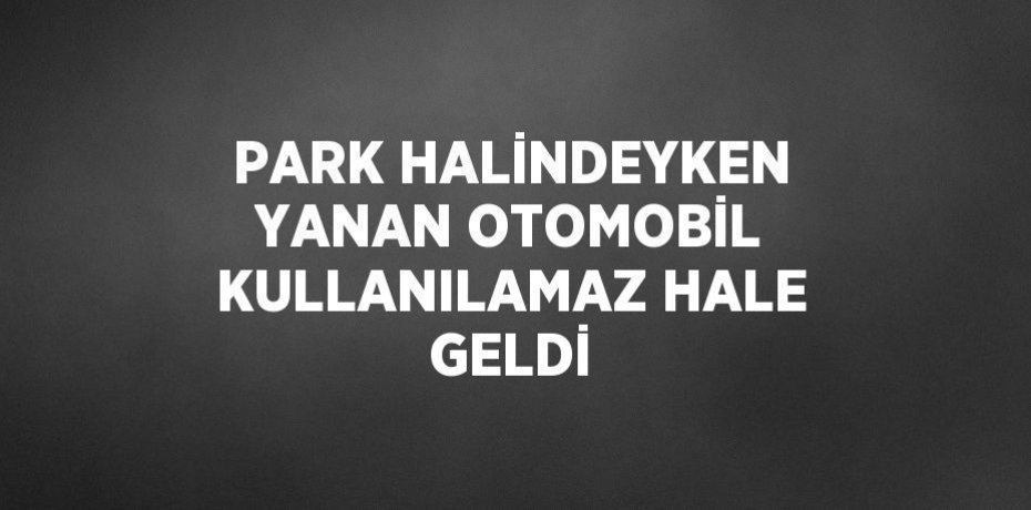 PARK HALİNDEYKEN YANAN OTOMOBİL KULLANILAMAZ HALE GELDİ