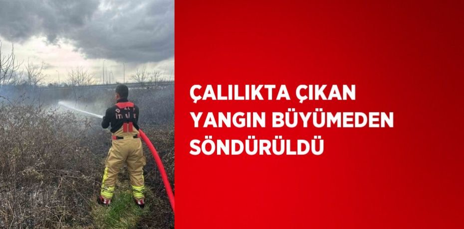 ÇALILIKTA ÇIKAN YANGIN BÜYÜMEDEN SÖNDÜRÜLDÜ