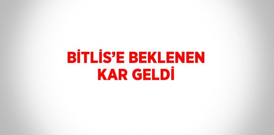 BİTLİS’E BEKLENEN KAR GELDİ