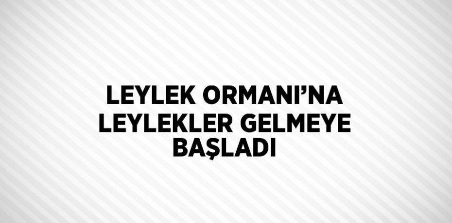 LEYLEK ORMANI’NA LEYLEKLER GELMEYE BAŞLADI