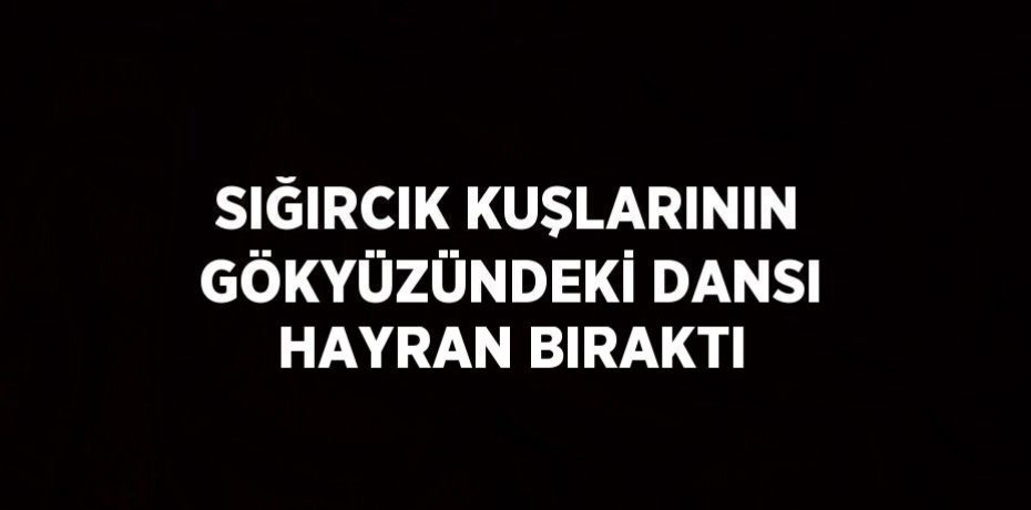 SIĞIRCIK KUŞLARININ GÖKYÜZÜNDEKİ DANSI HAYRAN BIRAKTI