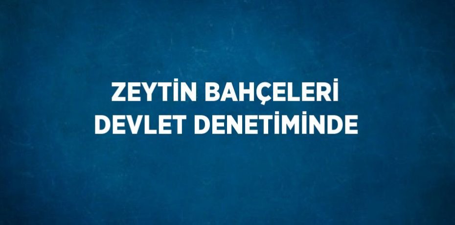 ZEYTİN BAHÇELERİ DEVLET DENETİMİNDE