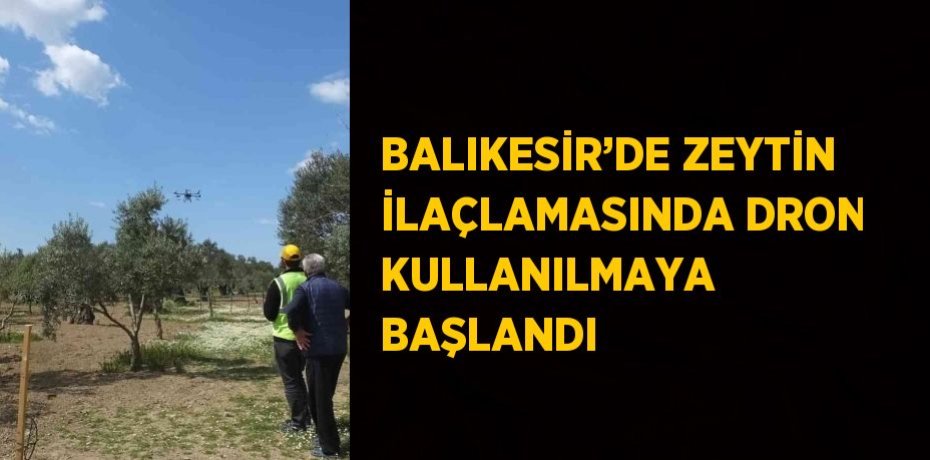 BALIKESİR’DE ZEYTİN İLAÇLAMASINDA DRON KULLANILMAYA BAŞLANDI