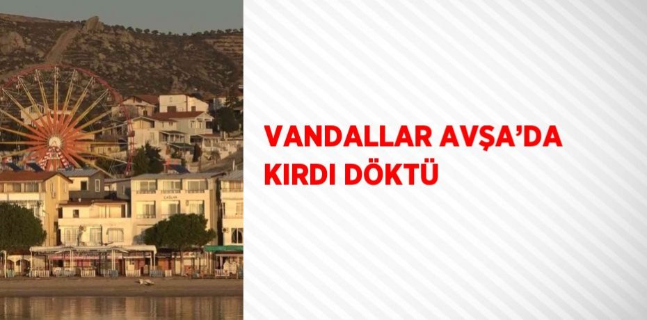 VANDALLAR AVŞA’DA KIRDI DÖKTÜ