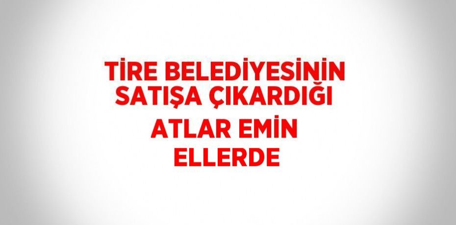 TİRE BELEDİYESİNİN SATIŞA ÇIKARDIĞI ATLAR EMİN ELLERDE