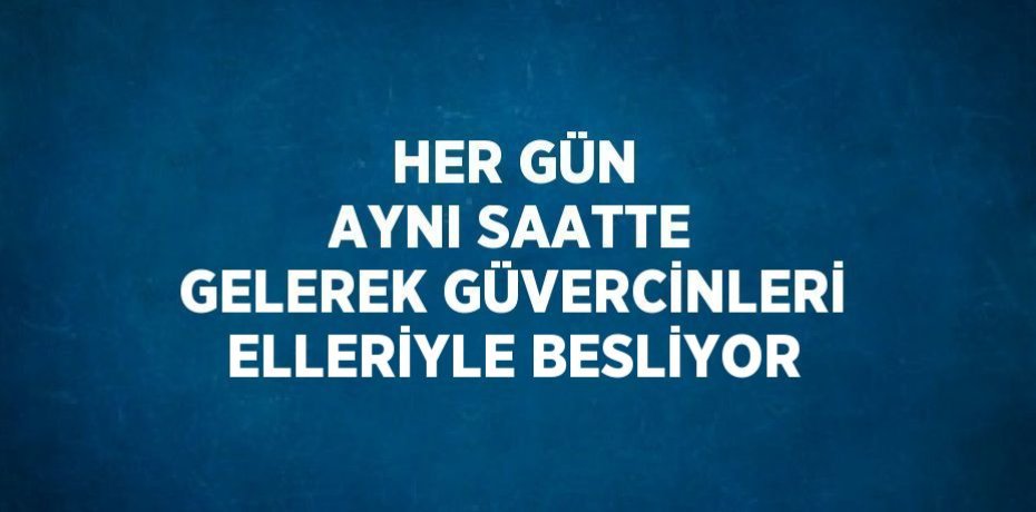 HER GÜN AYNI SAATTE GELEREK GÜVERCİNLERİ ELLERİYLE BESLİYOR