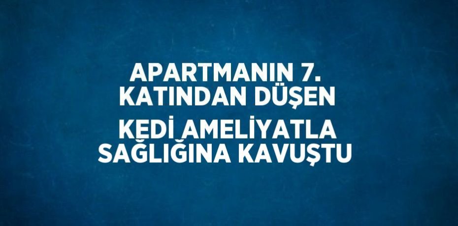 APARTMANIN 7. KATINDAN DÜŞEN KEDİ AMELİYATLA SAĞLIĞINA KAVUŞTU
