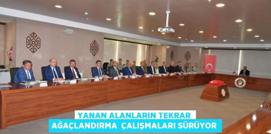 YANAN ALANLARIN TEKRAR AĞAÇLANDIRMA  ÇALIŞMALARI SÜRÜYOR