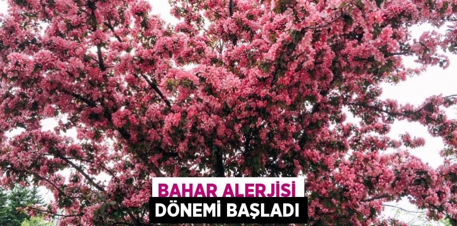 Bahar alerjisi dönemi başladı
