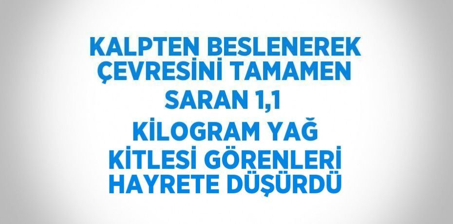 KALPTEN BESLENEREK ÇEVRESİNİ TAMAMEN SARAN 1,1 KİLOGRAM YAĞ KİTLESİ GÖRENLERİ HAYRETE DÜŞÜRDÜ