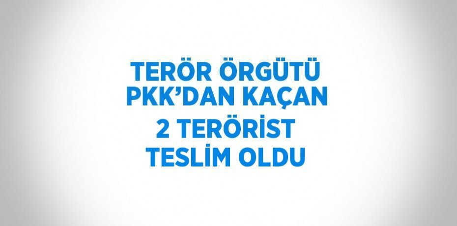 TERÖR ÖRGÜTÜ PKK’DAN KAÇAN 2 TERÖRİST TESLİM OLDU