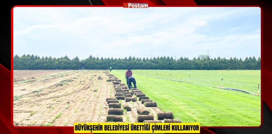 BÜYÜKŞEHİR BELEDİYESİ ÜRETTİĞİ ÇİMLERİ KULLANIYOR