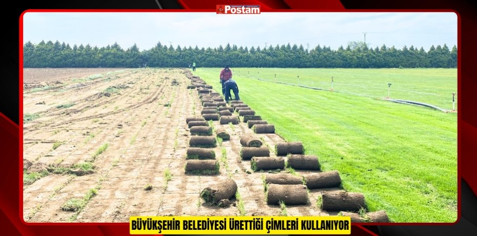 BÜYÜKŞEHİR BELEDİYESİ ÜRETTİĞİ ÇİMLERİ KULLANIYOR