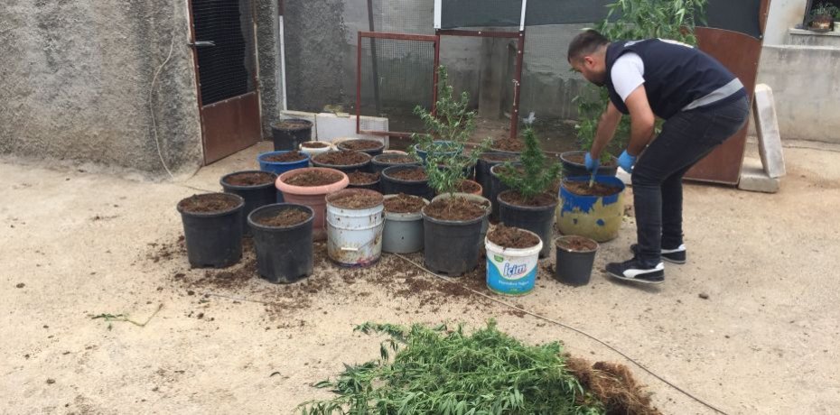 Torbacıların evine koç başlarıyla kapılar kırılıp girildi