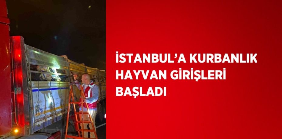 İSTANBUL’A KURBANLIK HAYVAN GİRİŞLERİ BAŞLADI