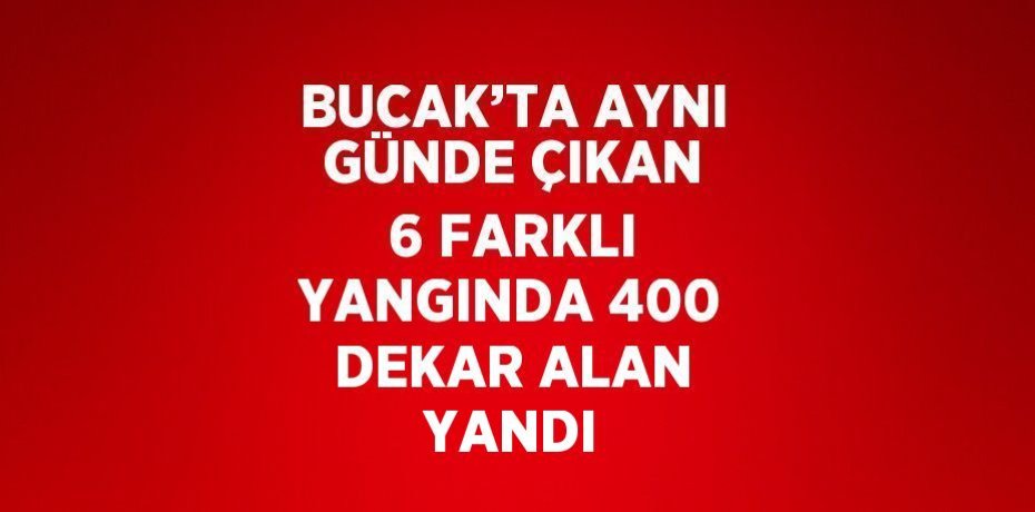 BUCAK’TA AYNI GÜNDE ÇIKAN 6 FARKLI YANGINDA 400 DEKAR ALAN YANDI