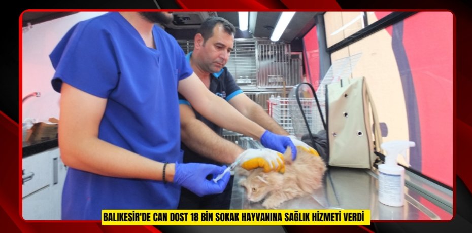 Balıkesir'de Can Dost 18 bin sokak hayvanına sağlık hizmeti verdi  