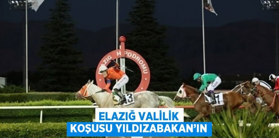ELAZIĞ VALİLİK KOŞUSU YILDIZABAKAN’IN