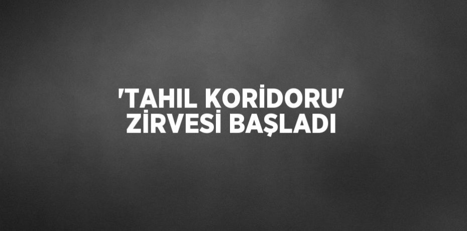 'TAHIL KORİDORU' ZİRVESİ BAŞLADI