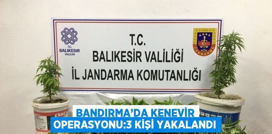 BANDIRMA’DA KENEVİR OPERASYONU:3 KİŞİ YAKALANDI