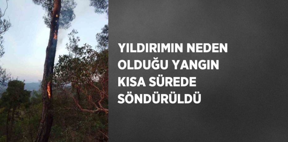 YILDIRIMIN NEDEN OLDUĞU YANGIN KISA SÜREDE SÖNDÜRÜLDÜ