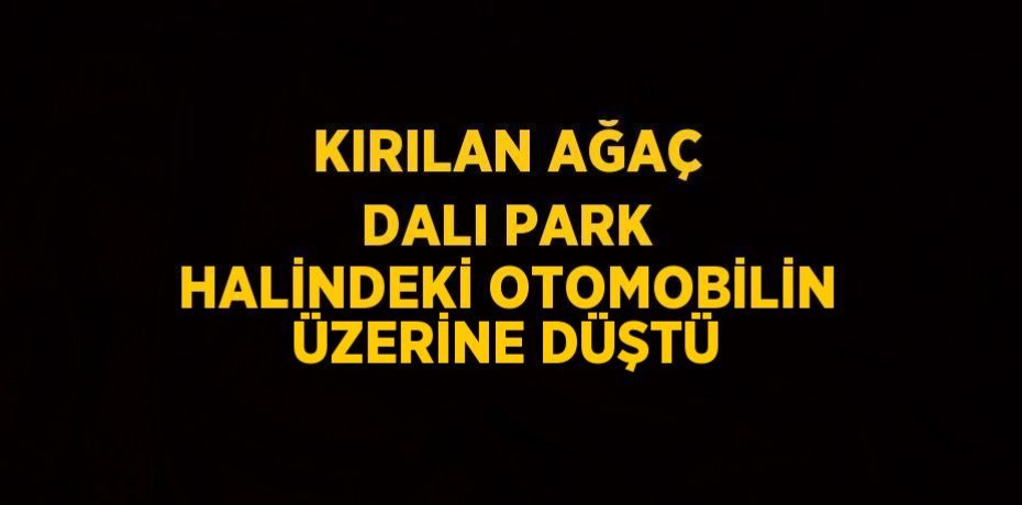KIRILAN AĞAÇ DALI PARK HALİNDEKİ OTOMOBİLİN ÜZERİNE DÜŞTÜ