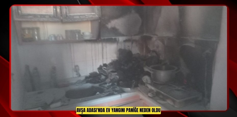 Avşa Adası'nda ev yangını paniğe neden oldu