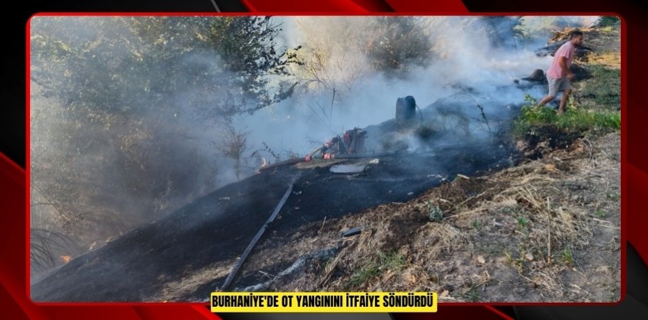 Burhaniye'de ot yangınını itfaiye söndürdü  