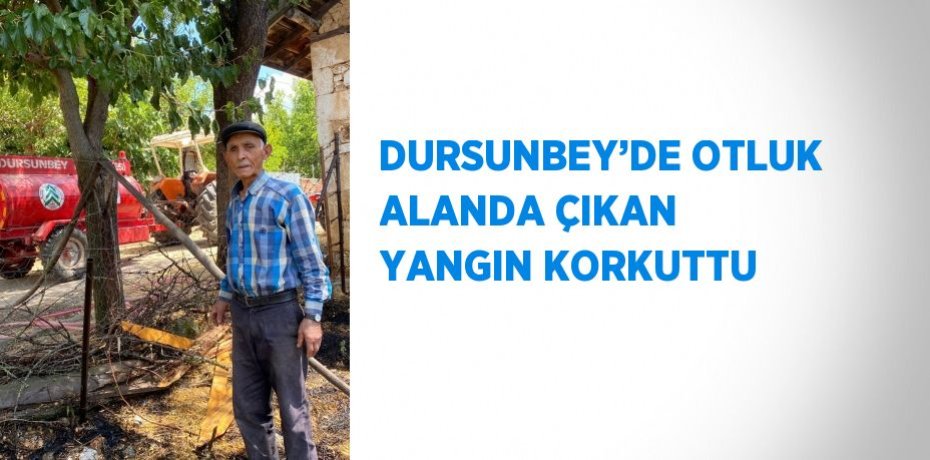 DURSUNBEY’DE OTLUK ALANDA ÇIKAN YANGIN KORKUTTU