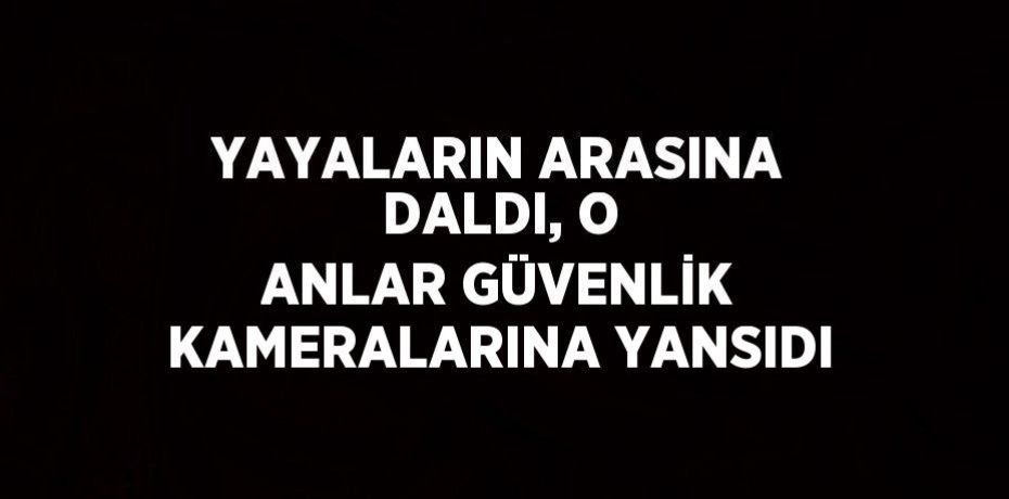 YAYALARIN ARASINA DALDI, O ANLAR GÜVENLİK KAMERALARINA YANSIDI