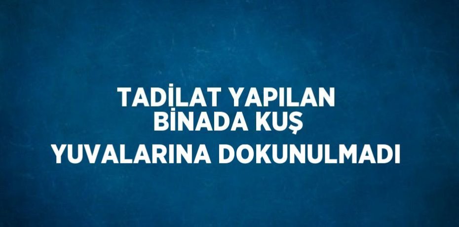 TADİLAT YAPILAN BİNADA KUŞ YUVALARINA DOKUNULMADI