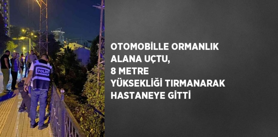 OTOMOBİLLE ORMANLIK ALANA UÇTU, 8 METRE YÜKSEKLİĞİ TIRMANARAK HASTANEYE GİTTİ
