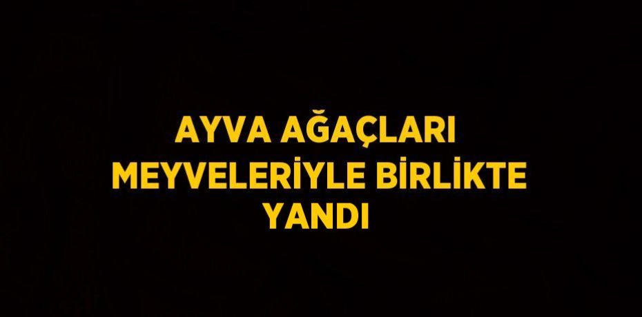 AYVA AĞAÇLARI MEYVELERİYLE BİRLİKTE YANDI