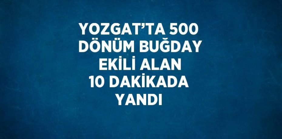 YOZGAT’TA 500 DÖNÜM BUĞDAY EKİLİ ALAN 10 DAKİKADA YANDI