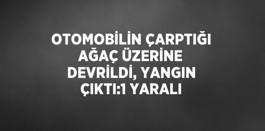 OTOMOBİLİN ÇARPTIĞI AĞAÇ ÜZERİNE DEVRİLDİ, YANGIN ÇIKTI:1 YARALI